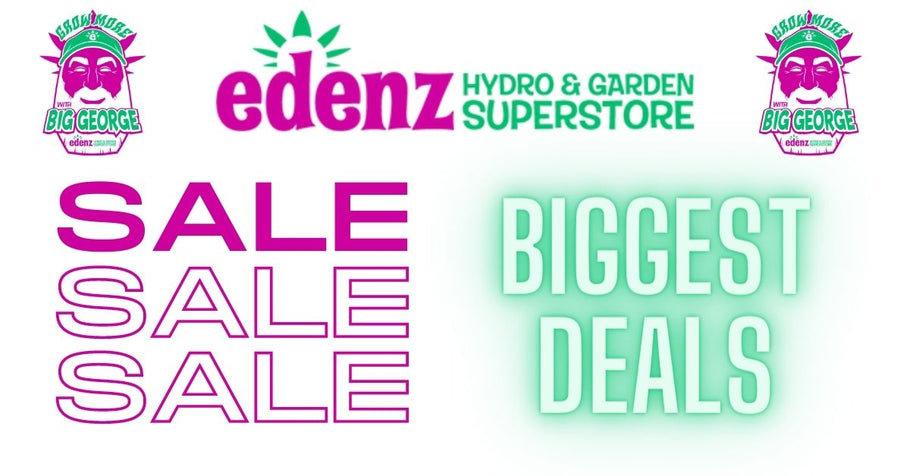 Explore Edenz's Biggest Deals — Save Hundreds on Essential Items!