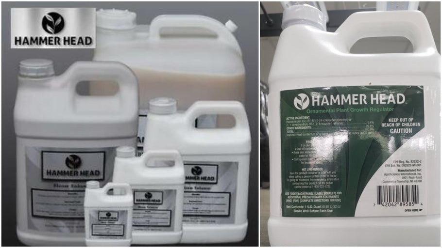 Hammer Head Ornamental Plant Growth Regulator ::: AVAILABLE NOW AT EDENZ HYDRO!