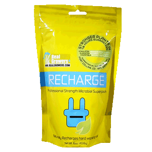 Real Growers Recharge 1lbs.