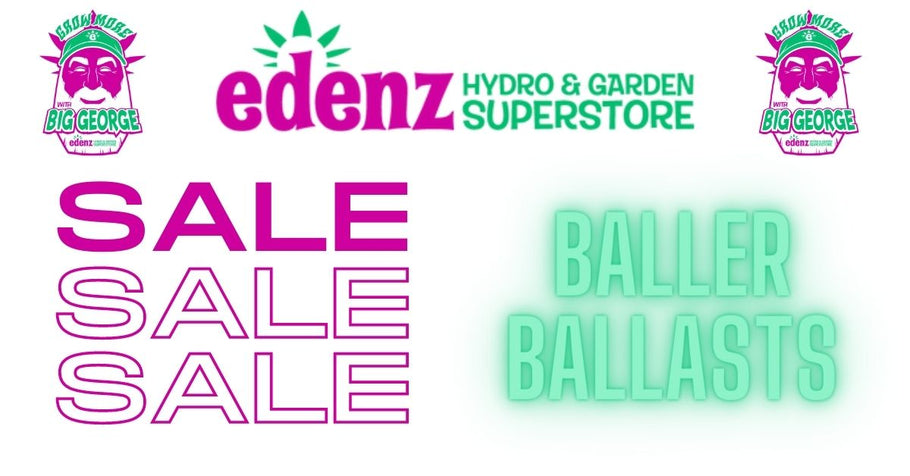 GET BALLER BALLASTS FROM BIG GEORGE—Shop Edenz Online for Huge Discounts!