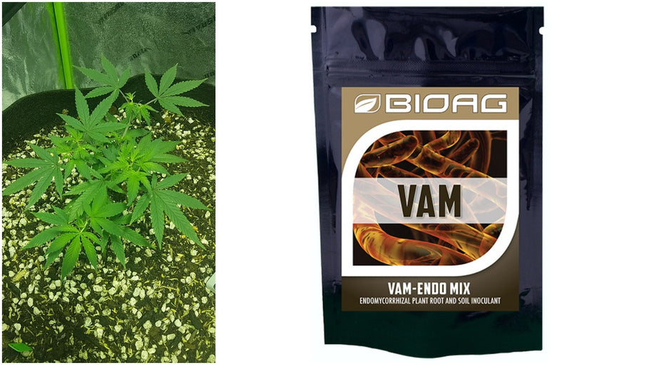 BIOAG VAM Endo-Mix is Available at Edenz Hydro!
