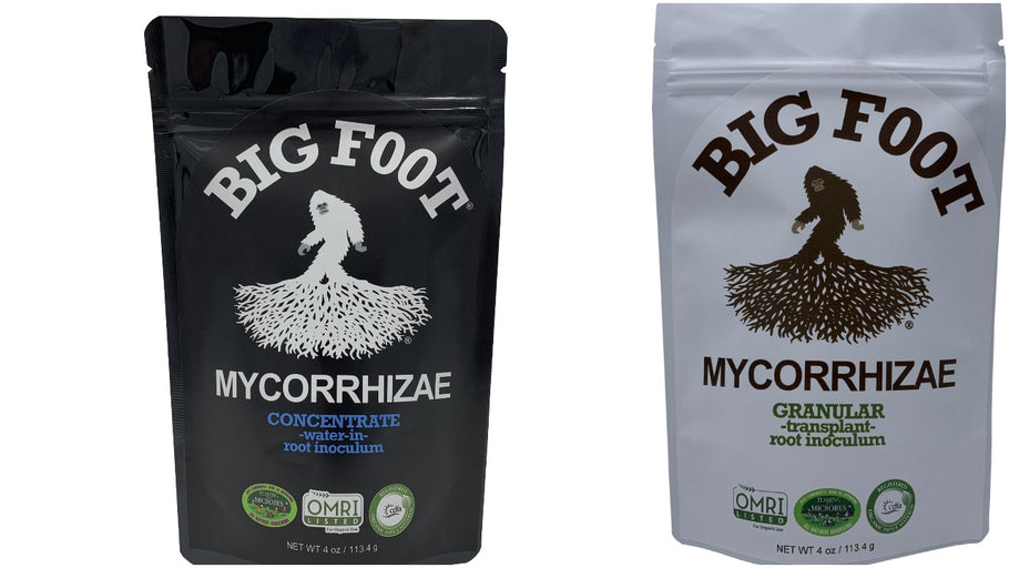 Big Foot Mycorrhizae — Granular and Concentrate — AVAILABLE NOW AT EDENZ HYDRO!