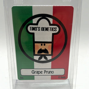 Tinos Genetics Grape Pruno