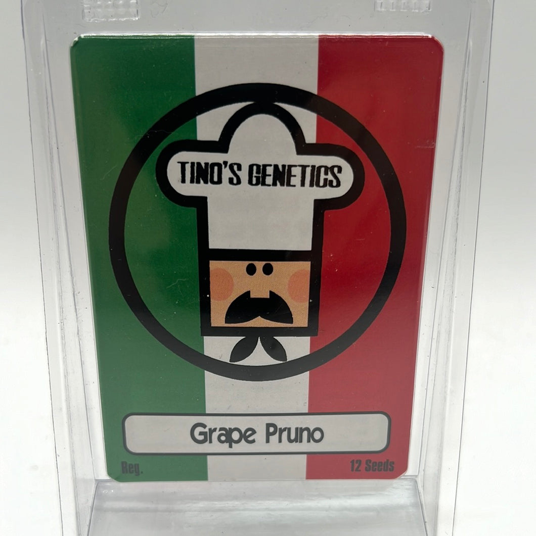 Tinos Genetics Grape Pruno