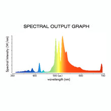 Load image into Gallery viewer, Lightspeed HPS 600W Lamp Special Edition