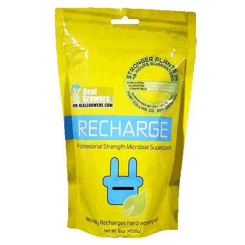 Real Growers Recharge 1lbs.