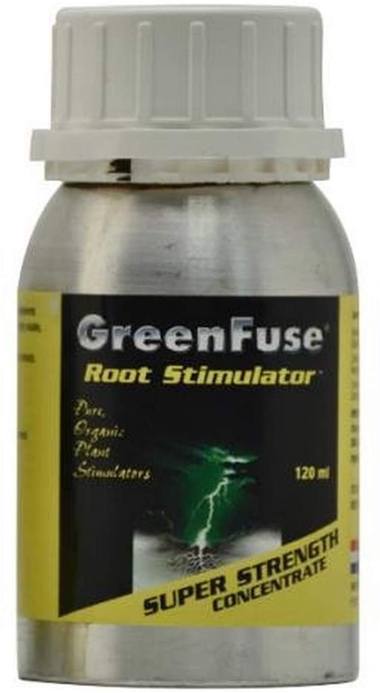 Green Fuse Root Concentrate