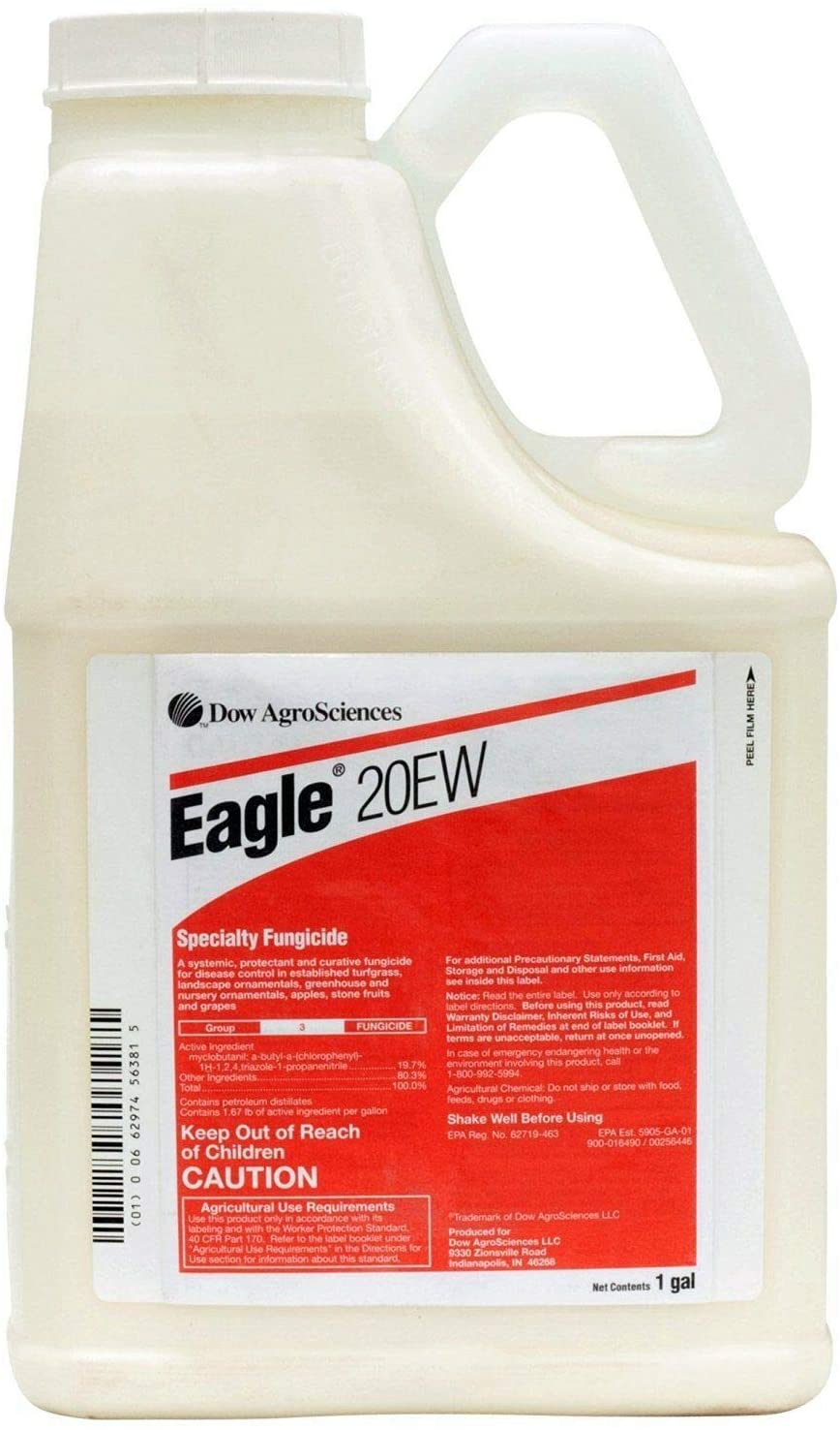 Eagle 20EW