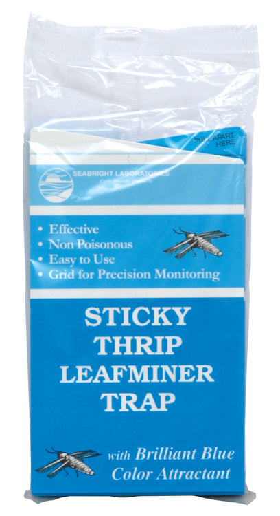 Seabright - Sticky Thrip Leafminer Traps