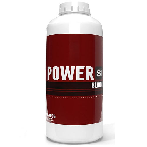 Power Si Bloom
