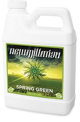 New Millenium Spring Green