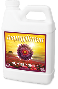 New Millenium Summer Shift