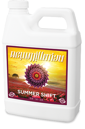 New Millenium Summer Shift