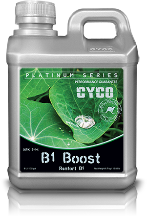 Cyco Platinum B1 Boost