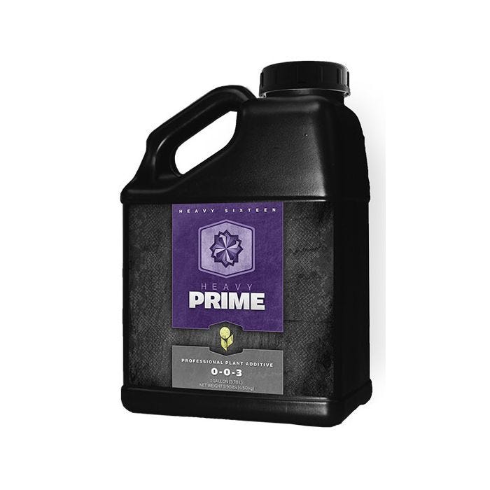 Heavy 16 - Prime