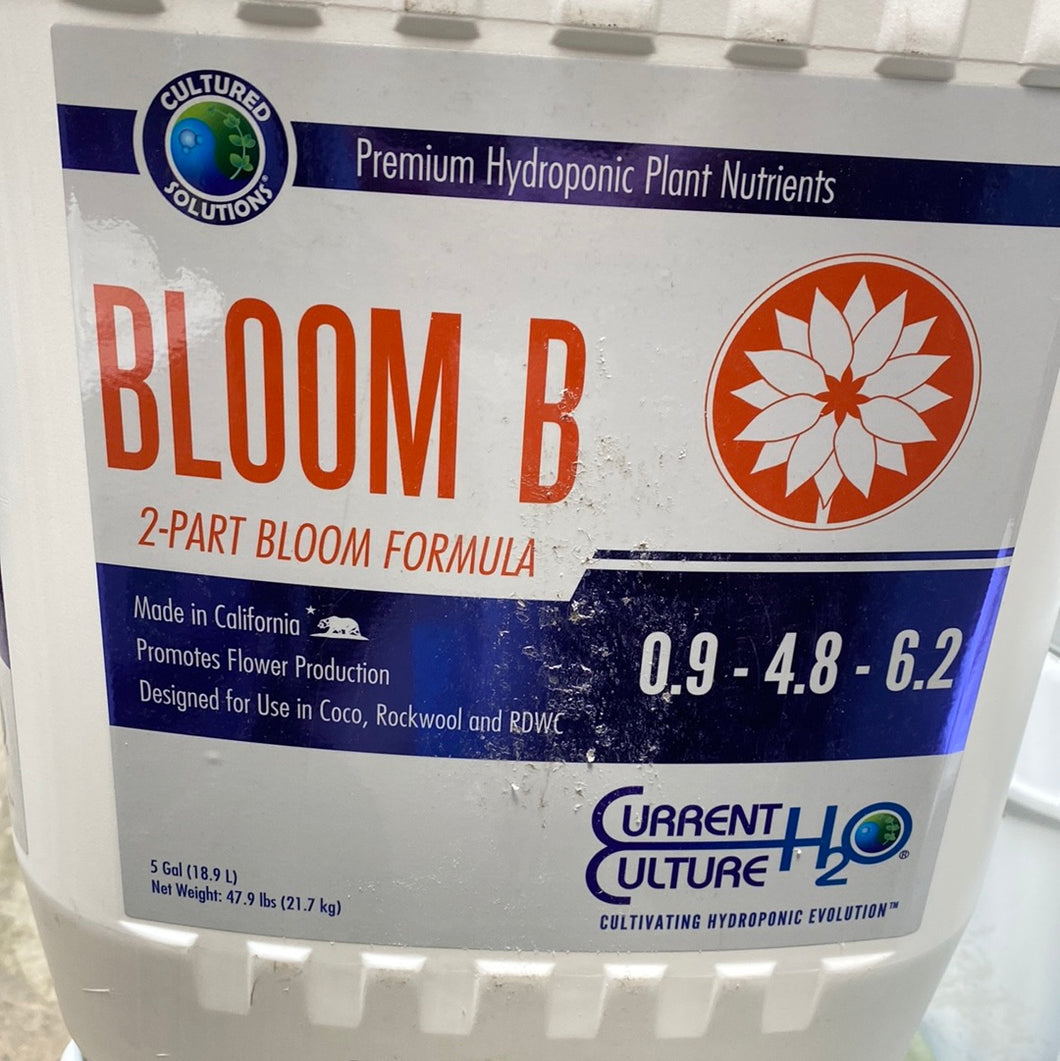 CS BLOOM B 5 GAL