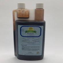 Load image into Gallery viewer, Age old organic promote 32oz