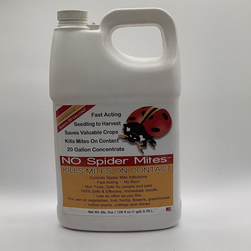 No spider mites gallon