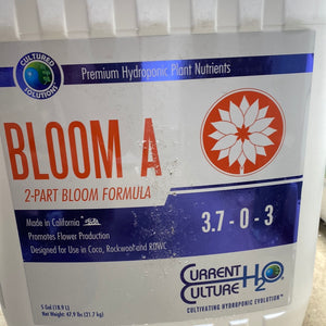 CS BLOOM A 5 GAL