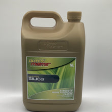 Load image into Gallery viewer, Dutch master gold range silica 5L